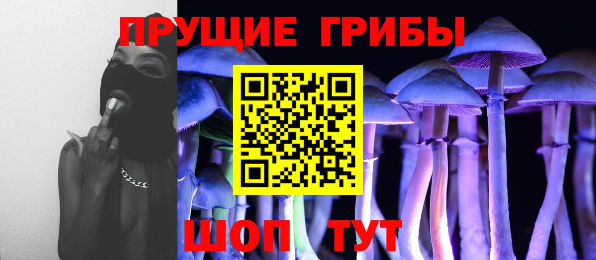 Псилоцибиновые грибы GOLDEN TEACHER Тавда
